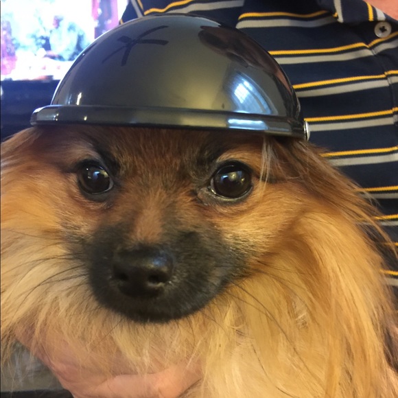 Meet your Posher, Gretchen - Picture 3 of 6